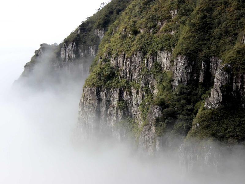 琅琊榜手游：一场IP改编的“宫斗”败局——西锤研报