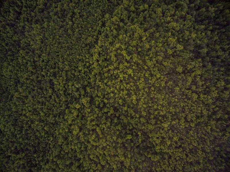 最新网游戏：当我们谈论“最新”时，旧游已在时光里回响